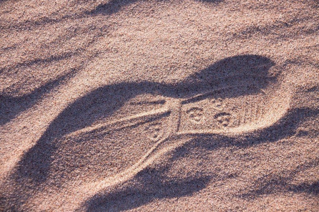 coste verificar huella de carbono