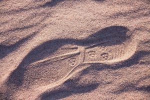 coste verificar huella de carbono